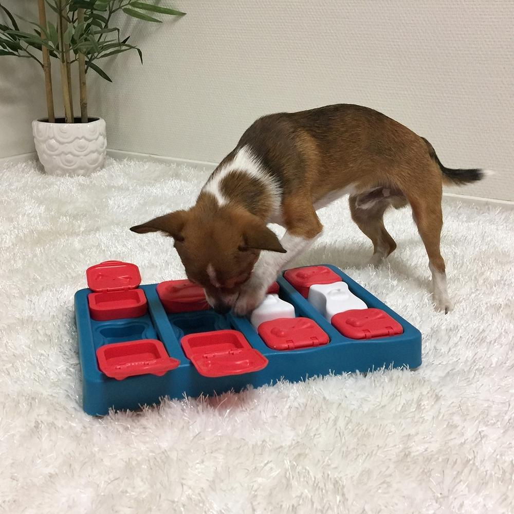 Fargerikt Nina Ottosson Dog Brick puslespill til hund