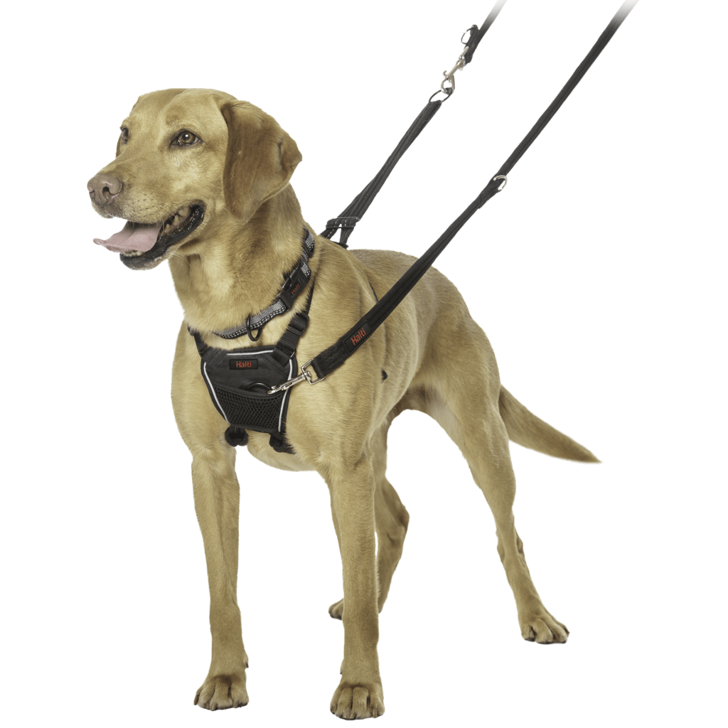 Halti No Pull antitrekksele med polstrede remmer