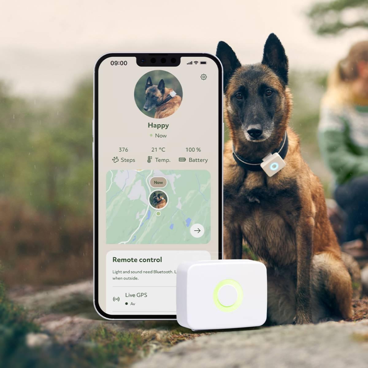 Lildog aktivitet- og GPS-tracker til hund