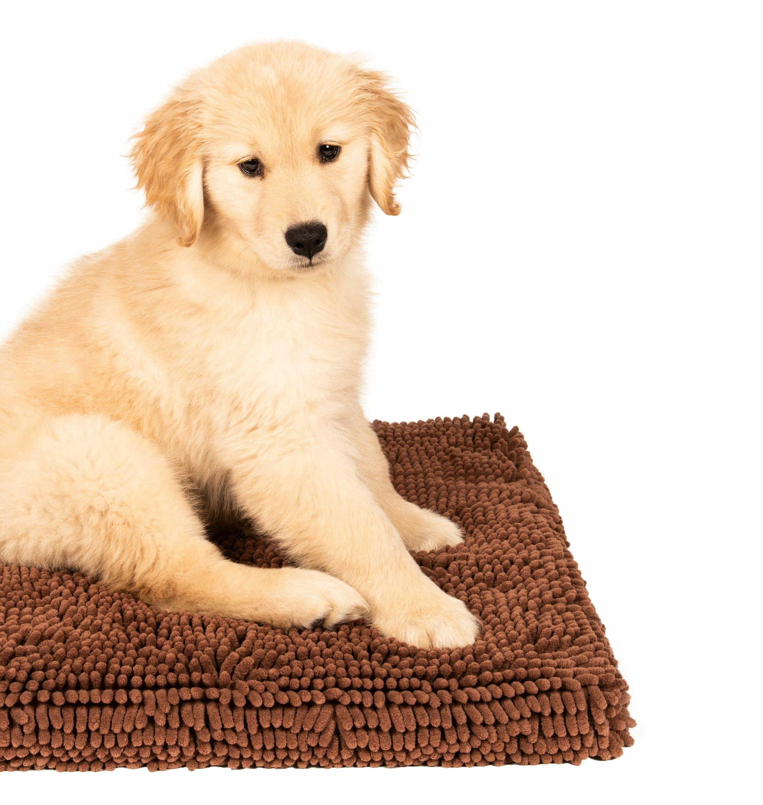 Grå DGS Dirty Dog Cushion Pad hundemadrass