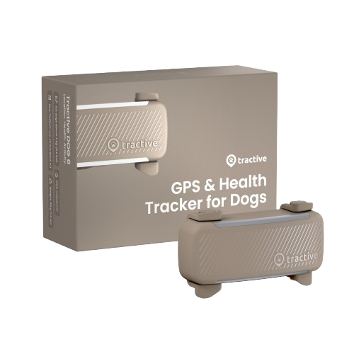 Brun Tractive Dog 6 GPS-tracker til hund