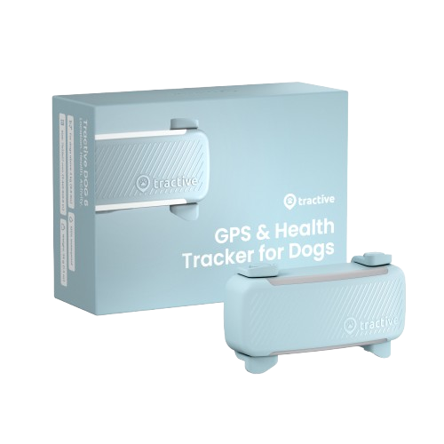 Mintfarget Tractive Dog 6 GPS-tracker til hund