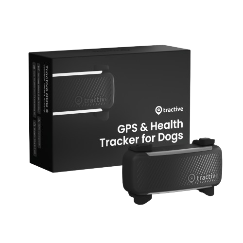 Svart Tractive Dog 6 GPS-tracker til hund